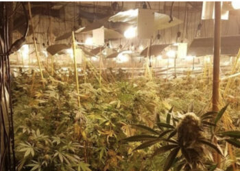 EMRAT/ Katër shqiptarët që u kapën në “shtëpi bari”, i thanë policit britanik: “Më mirë në burg, se në Shqipëri!”