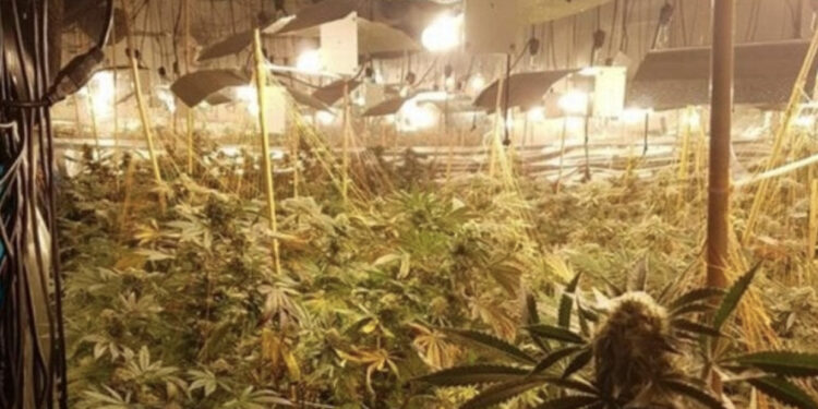 EMRAT/ Katër shqiptarët që u kapën në “shtëpi bari”, i thanë policit britanik: “Më mirë në burg, se në Shqipëri!”