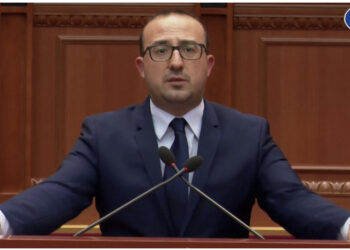 Projektligji për vreshtarinë dhe verën, deputeti i PD: Unë s’kam flokë, ju hapni parukeri! Rrushi është tharë, vaji po zë vajin se nuk e blen njeri