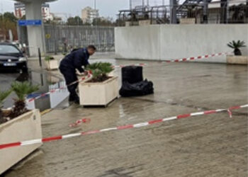 Alarm i rremë për bombë në Portin e Durrësit, ja çfarë zbuluan forcat xheniere brenda në valixhe