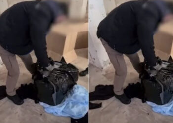 Taksixhiu shqiptar kishte mbushur makinën me marijuanë, policia greke sekuestron gjithsej 116 kg drogë me vlerë 700 mijë euro