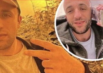 EMRAT/ Poza me tufa paundësh dhe në mes të kanabisit nga ‘shtëpia e barit’, arrestohen 4 të rinjtë shqiptarë