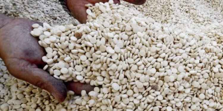 Sekuestrohet 1 ton drogë sintetike mes hurmave të Arabisë