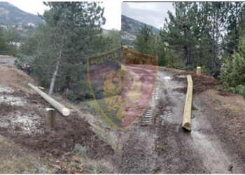 ‘Janë në tokën time’/ Dibrani i pret shtyllat prej druri të energjisë elektrike OSHEE-së!