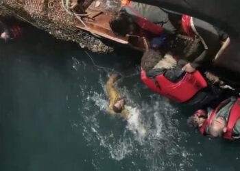 VIDEO/ Pamje të RËNDA/ Duke kërkuar ndihmë mes të ujit, momenti i shpëtimit të emigrantëve në Kanalin Anglez