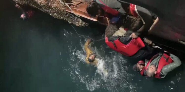 VIDEO/ Pamje të RËNDA/ Duke kërkuar ndihmë mes të ujit, momenti i shpëtimit të emigrantëve në Kanalin Anglez