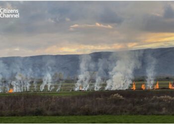 Ndalohet me ligj ndezja e zjarreve në Shqipëri, burg edhe kush djeg barishte dhe ferra!