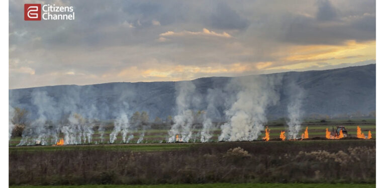 Ndalohet me ligj ndezja e zjarreve në Shqipëri, burg edhe kush djeg barishte dhe ferra!
