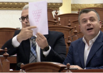 “Po flasim për rrushin”, Gogu dhe Balla mesazhe me pankarta në Kuvend