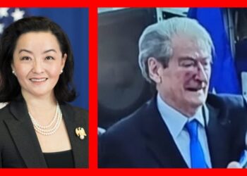 Pas goditje me grusht të Berishës/ Andi Bushati ironizon Yuri Kim. FOTO duke qeshur