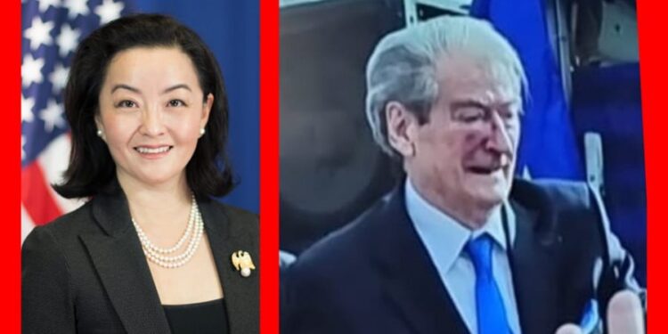 Pas goditje me grusht të Berishës/ Andi Bushati ironizon Yuri Kim. FOTO duke qeshur