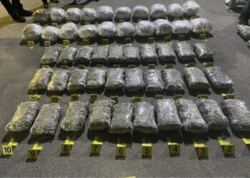 Bllokohet kamioni me drogë në Kosovë