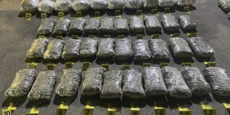 Bllokohet kamioni me drogë në Kosovë