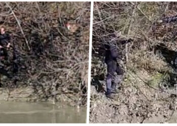 Polumbarët nisin kërkimet në ditën e 3-të, ende asnjë shenjë për 26-vjeçarin që dyshohet se ra me makinë në lumin Seman