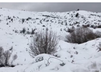 Shiko Hartën/ “Paralizohet” vendi, reshje bore nga veriu në juglindje, tërhiqet uji në Lezhë