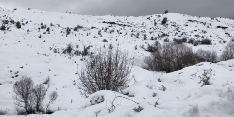 Shiko Hartën/ “Paralizohet” vendi, reshje bore nga veriu në juglindje, tërhiqet uji në Lezhë