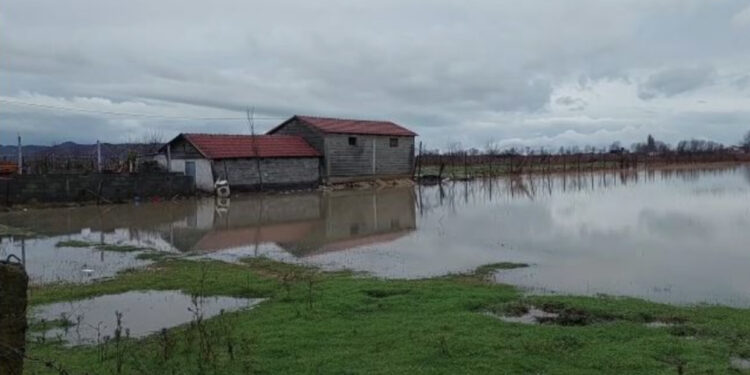 Rrethohen nga uji disa banesa në Kurbin, dëbora mbulon Qafë-Shtamën!