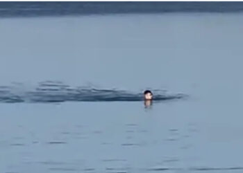 Edhe vlonjatët presin 2023-in duke bërë plazh