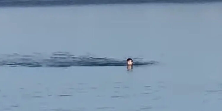 Edhe vlonjatët presin 2023-in duke bërë plazh