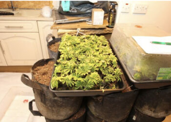 Ditën lavazhierë, natën në “shtëpi bari”, arrestohen dy të rinjtë shqiptarë në Uells