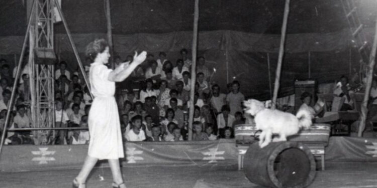 Ndahet nga jeta Sanie Baçova, gruaja e parë dhe e vetme që zbuste kafshët në Cirkun Shqipëtar