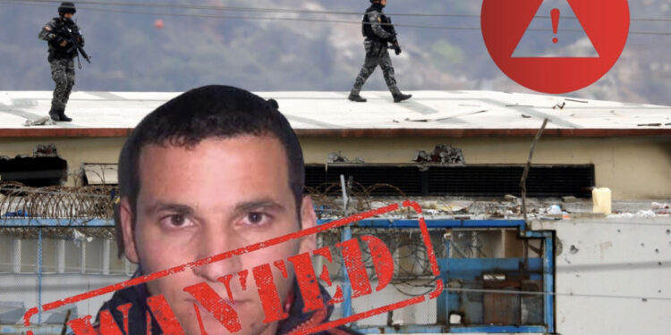 Kapoja u arratis nga burgu! Ekuadori: Kamuflimi, si mafia shqiptare trafikon kokainën