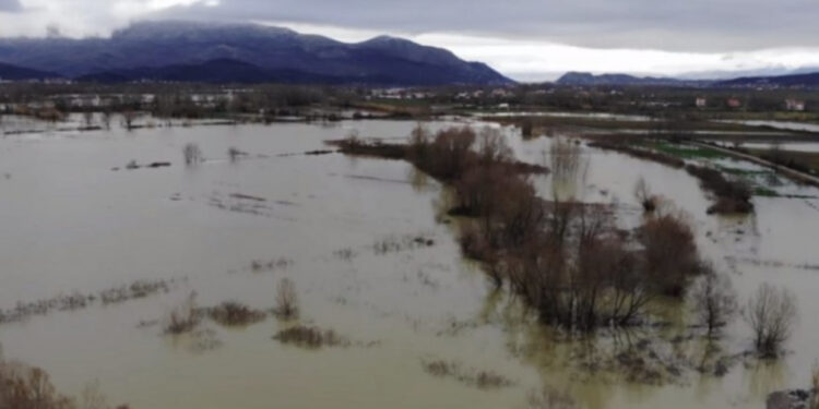 Përmbytjet në Shkodër, 1100 hektarë gjenden nën ujë!