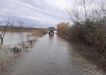 Përmirësohet situata, por Shkodra vijon e përmbytur prej një jave, 1020 Ha ende në ujë!