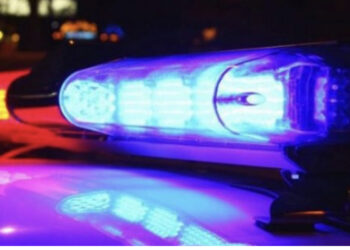 Tentoi të kalonte drogë në kufirin serbo-hungrez, arrestohet shqiptari