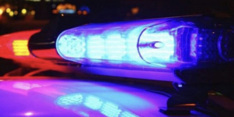 Tentoi të kalonte drogë në kufirin serbo-hungrez, arrestohet shqiptari