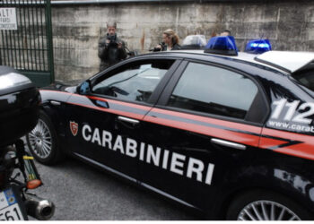 Operacion antidrogë në Itali dhe Shqipëri, 43 të arrestuar