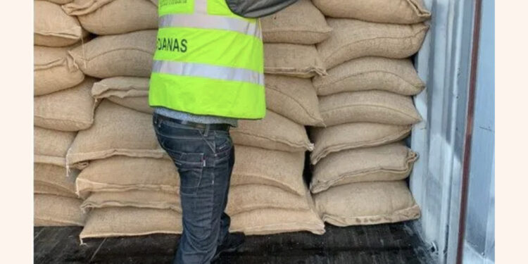 FOTO/ Super Goditje/ Kapet 1.3 ton kokainë në Barcelonë e fshehur mes kakaos