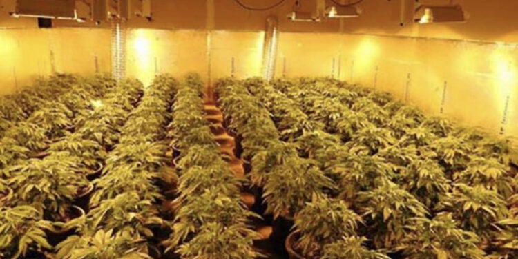 “Shtëpia e barit” në Shijak, Fredi Krasniqi: Më duheshin lekët për operacion