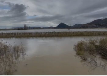 Moti i keq në Shkodër: 1400 ha tokë ende nën ujë