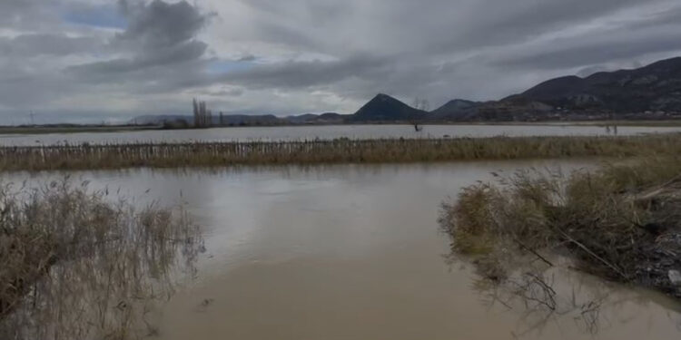 Moti i keq në Shkodër: 1400 ha tokë ende nën ujë