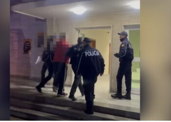 Fisheku në gojë?- Kush është fieraku që vrau babanë e dy fëmijëve për gërvishtjen e makinës?