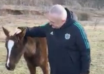 VIDEO/ Ilir Meta nis ditën duke përkëdhelur mëzin: Me simbolin e punës, fuqisë dhe fisnikërisë