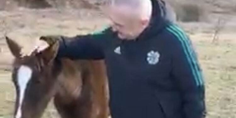 VIDEO/ Ilir Meta nis ditën duke përkëdhelur mëzin: Me simbolin e punës, fuqisë dhe fisnikërisë