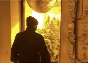 Ruante shtëpinë e barit, arrestohet 21-vjeçarja shqiptare në Itali, si u kap nga policia