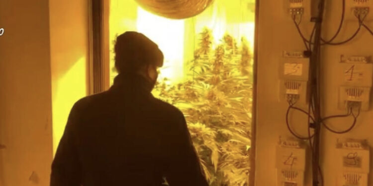 Ruante shtëpinë e barit, arrestohet 21-vjeçarja shqiptare në Itali, si u kap nga policia