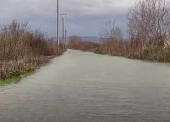 Shkodra ‘noton’ nën ujë, përmbytjet shkaktojnë problematike!