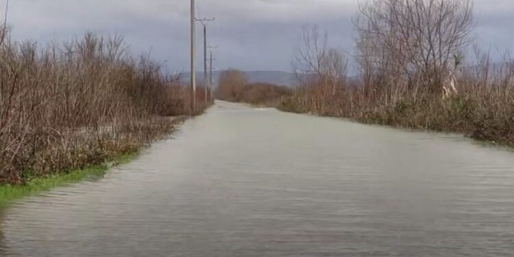 Shkodra ‘noton’ nën ujë, përmbytjet shkaktojnë problematike!