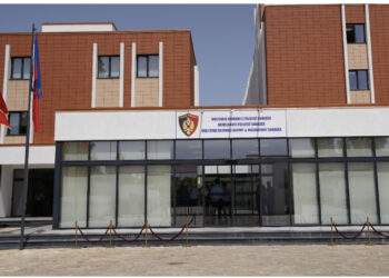 “S’e mbaja dot”! Mori lekët dhe hodhi foshnjën, çfarë tha nëna në polici?