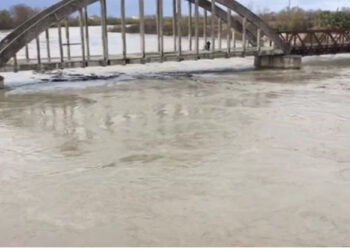 Del nga shtrati lumi Vjosa në Urën e Mifolit