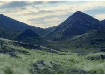 E rrallë / Meka mbushet me gjelbërim, myslimanët citojnë ‘Ditën e Kiametit’