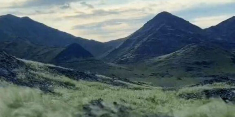 E rrallë / Meka mbushet me gjelbërim, myslimanët citojnë ‘Ditën e Kiametit’