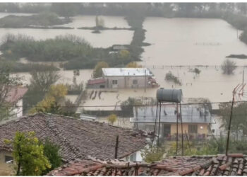 Moti i keq në Shkodër: 1400 hektarë nën ujë