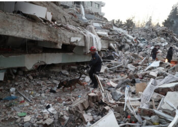 Tërmeti në Turqi, 29 urdhër-arreste për ndërtuesit e pallateve të shembura