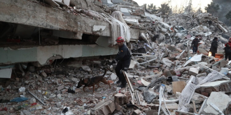 Tërmeti në Turqi, 29 urdhër-arreste për ndërtuesit e pallateve të shembura