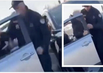 VIDEO/ Policët rrahën profesor Milon, Rama: Gjëra që ndodhin! Abazoviç i kërkoi ndjesë